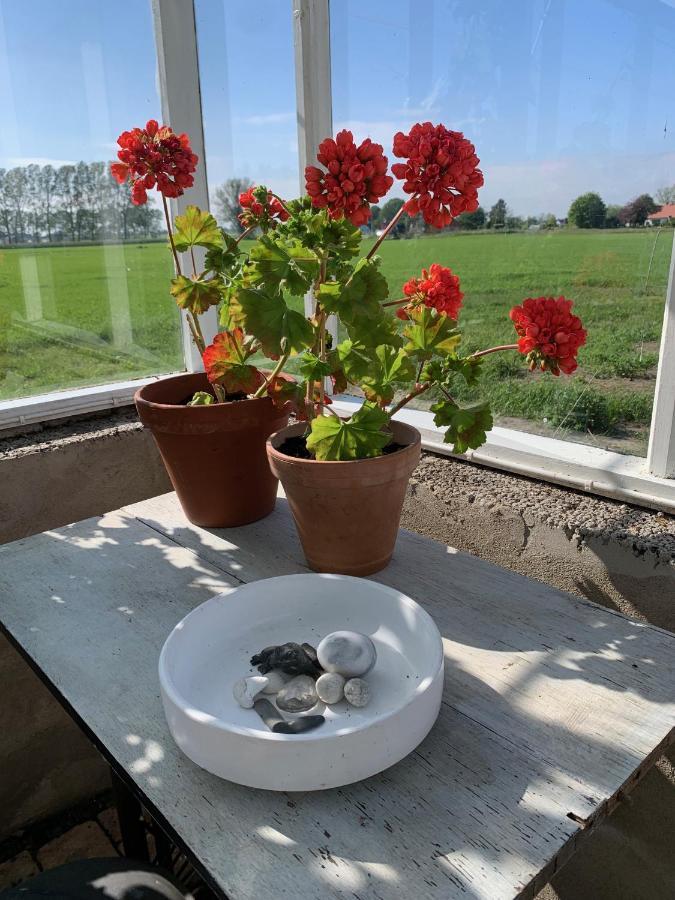 Strandbadsgarden B&B Löderup Kültér fotó
